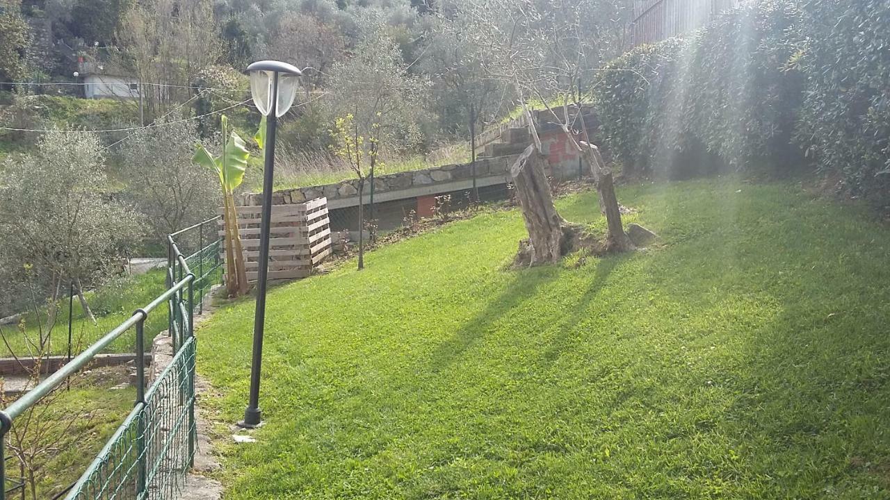 The Palm House Santa Margherita Ligure